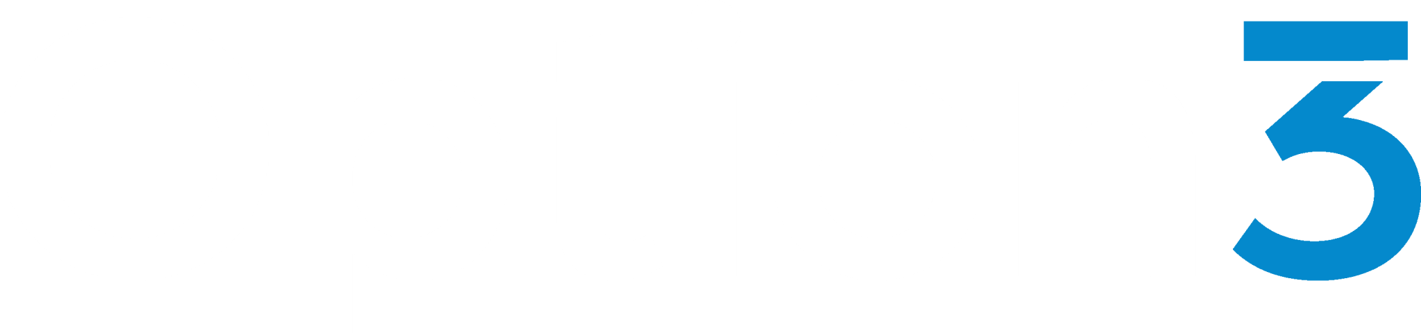 Strategic Cybersecurity Private Equity Specialist - Option3