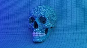 skull in cyberspace